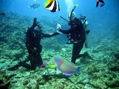 Radazul Paraiso Beach - Dive *